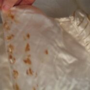 Heirloom Gown Saved – Rust Stains Removed