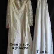 Can This Dress be Restored? Test and See