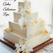 Let Them Eat Cake