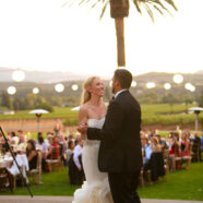 Wearing a Vera Wang Wedding Dress