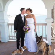 From Puppy Love to Wedding Dress Alterations