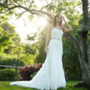 A Wedding Dress Story by Sharon F
