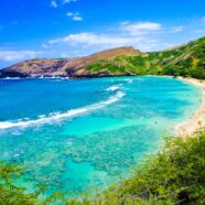 Aloha to a Treasured Memory