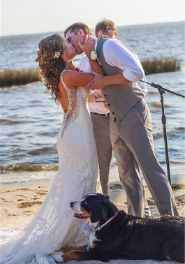 Emily's dog is her ring bearer at her wedding.